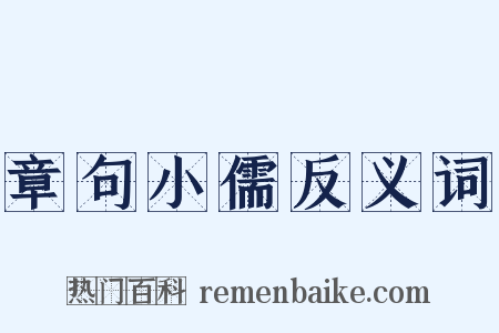 章句小儒反义词是什么意思的图片